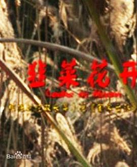 韭菜花開 海報