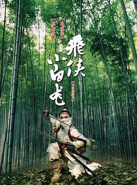 飛俠小白龍 海報