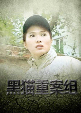黑貓重案組 海報(bào)