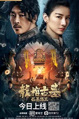 龍棺古墓：西夏狼王 海報(bào)