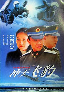 沖天飛豹 海報(bào)