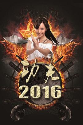 功夫2016 海報