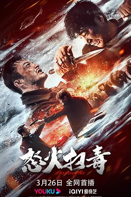 怒火掃毒 海報