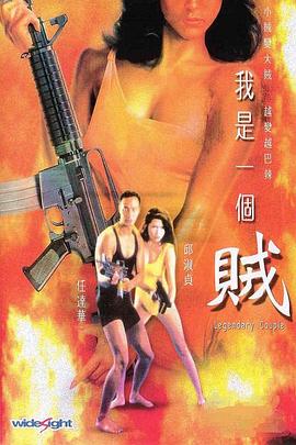 我是一個賊 海報