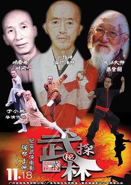 武林探秘 海報