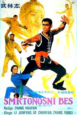 武林志 海報