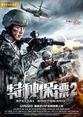 特種保鏢2 海報(bào)