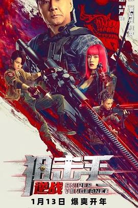 狙擊手：逆戰(zhàn) 海報