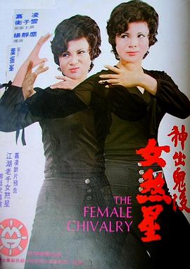 神出鬼沒女煞星 海報