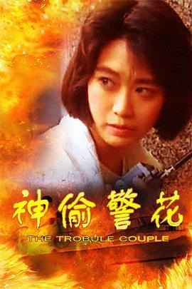 神偷警花 海報