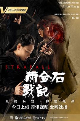 雨金石戰(zhàn)記 海報