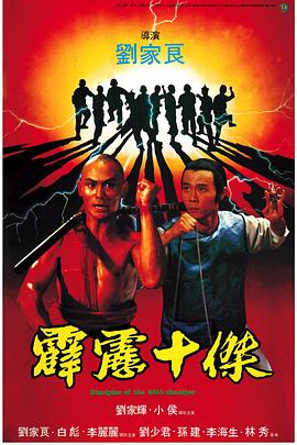 霹靂十杰 海報