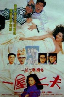 一妻兩夫 海報