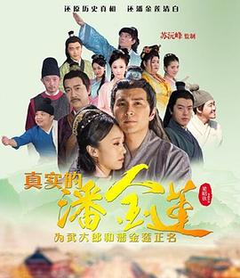 大明奇冤海報