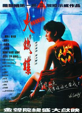 機(jī)密檔案實(shí)錄火蝴蝶 海報(bào)