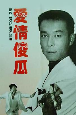 愛(ài)情傻瓜海報(bào)