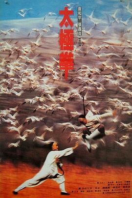 功夫小子闖情關(guān) 海報