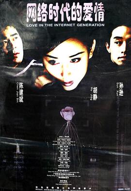 網(wǎng)絡(luò)時代的愛情 海報