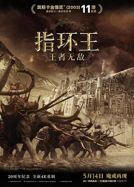 指環(huán)王3:王者無敵海報