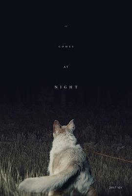 黑夜造訪海報