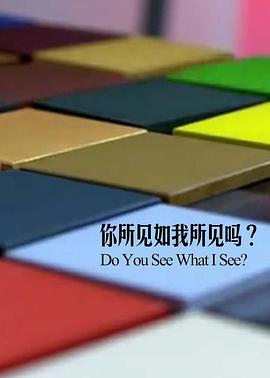 你所見如我所見嗎 海報(bào)