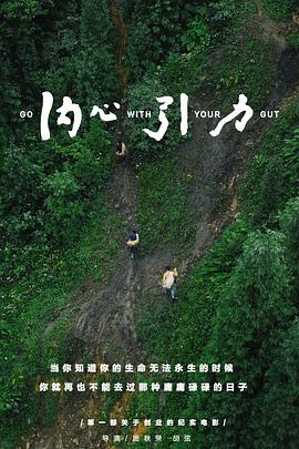 內(nèi)心引力 海報(bào)
