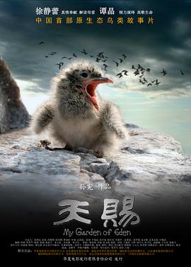 天賜 海報(bào)