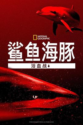 鯊魚海豚浴血戰(zhàn)海報(bào)