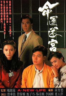 命運(yùn)迷宮海報(bào)