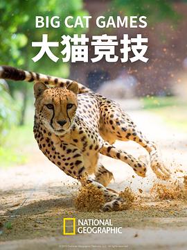 大貓競技 海報(bào)