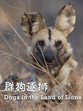 群狗逐獅 海報(bào)