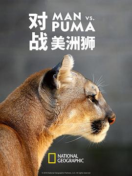 對(duì)戰(zhàn)美洲獅海報(bào)