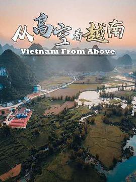 從高空看越南 海報(bào)