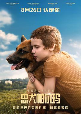 忠犬帕爾瑪 海報