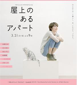屋頂?shù)墓?海報