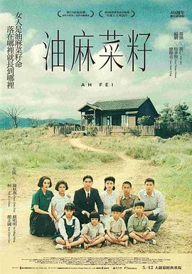油麻菜籽 海報(bào)