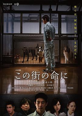 為了這條街的生命 海報