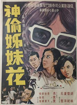 神偷姊妹花 海報(bào)