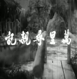 萬里尋親記 海報(bào)