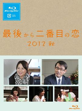 倒數(shù)第二次戀愛 2012秋SP 海報