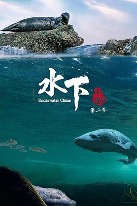 水下中國第二季 海報