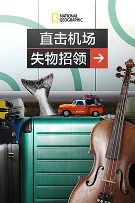 直擊機(jī)場失物招領(lǐng) 海報