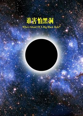 地平線系列：大黑洞的恐懼 海報(bào)