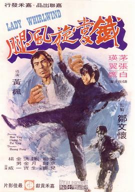 鐵掌旋風(fēng)腿 海報
