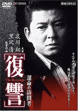 復(fù)仇：命運的訪問者 海報