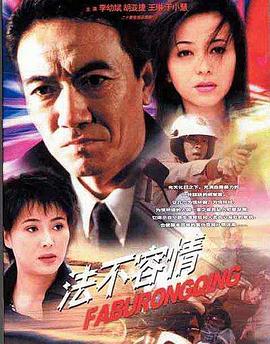 法不容情海報