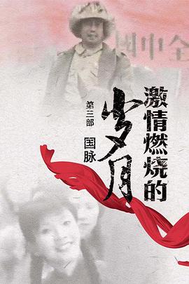激情燃燒的歲月3海報(bào)