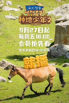 你好,種地少年2海報