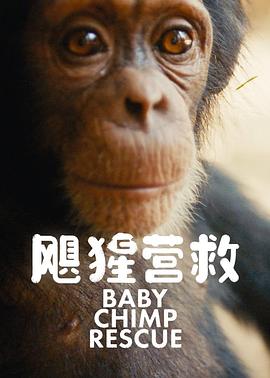 颶猩營(yíng)救