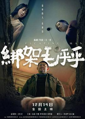 綁架毛乎乎海報